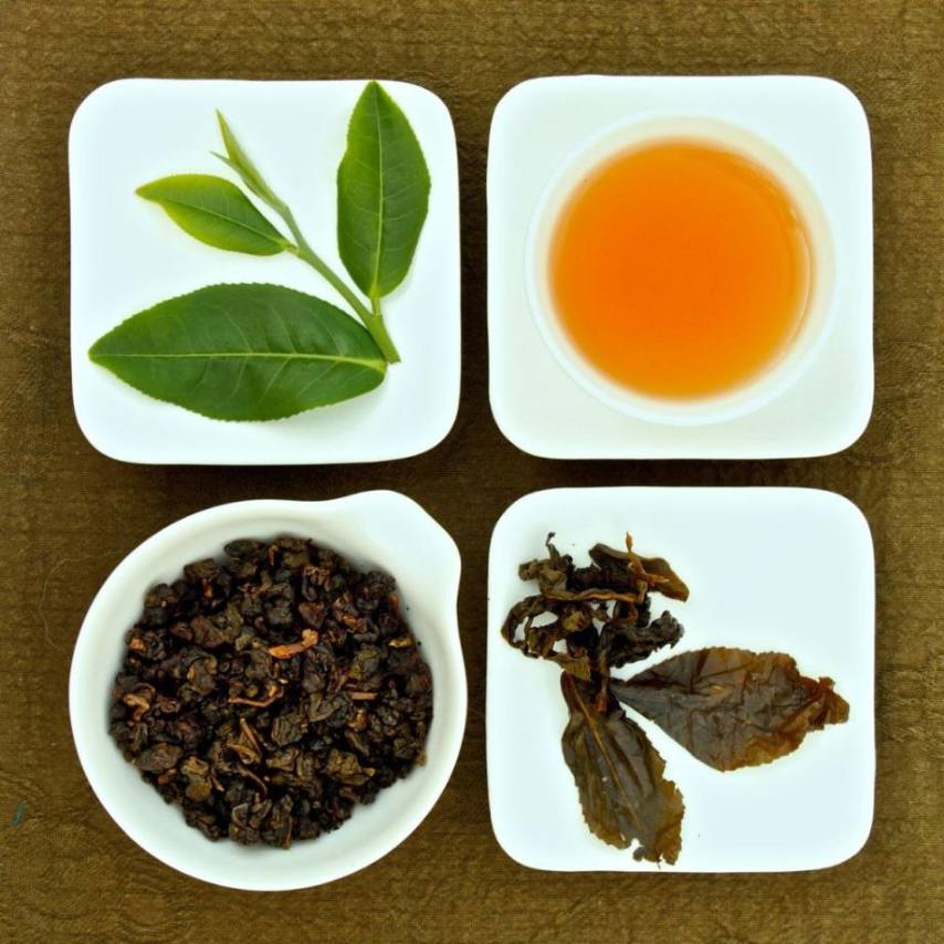different oolong tea